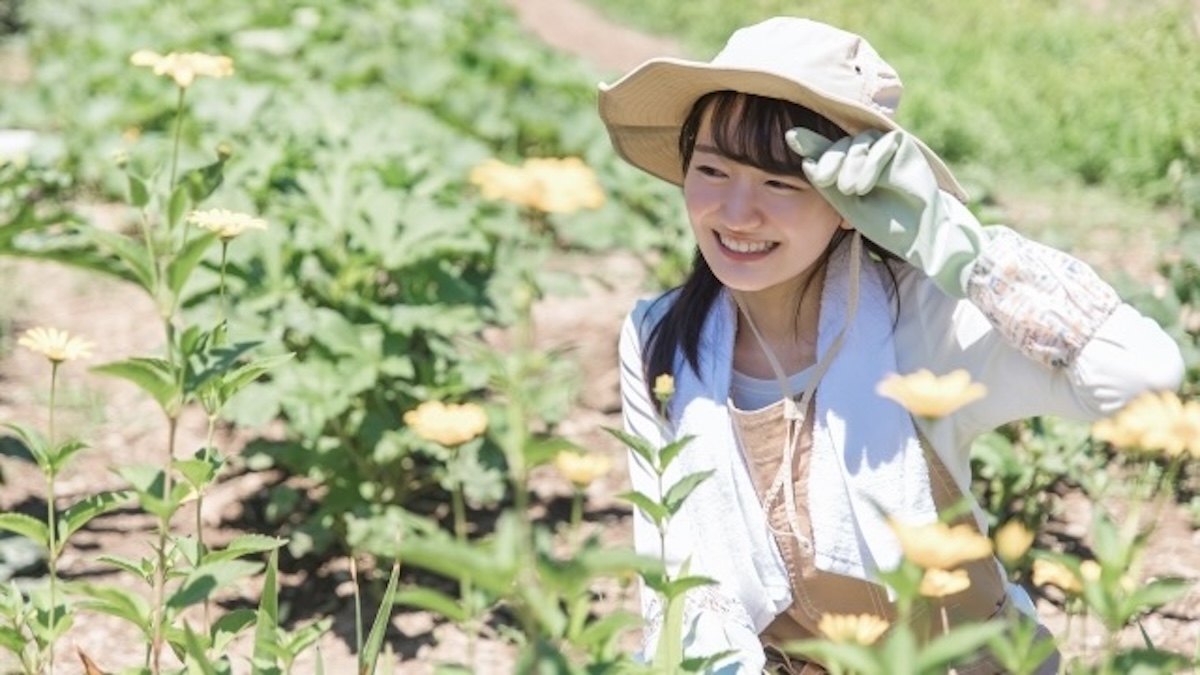 移住したい都道府県ランキング最下位は茨城県ではないのイメージ画像