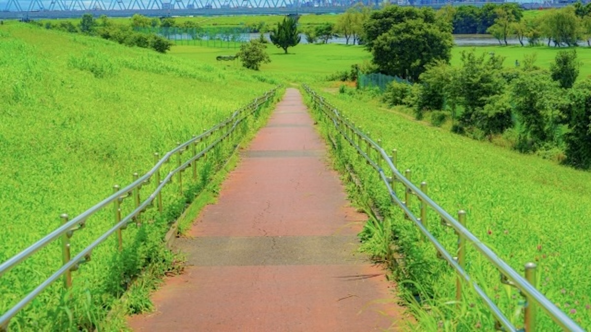 松戸市のイメージ画像