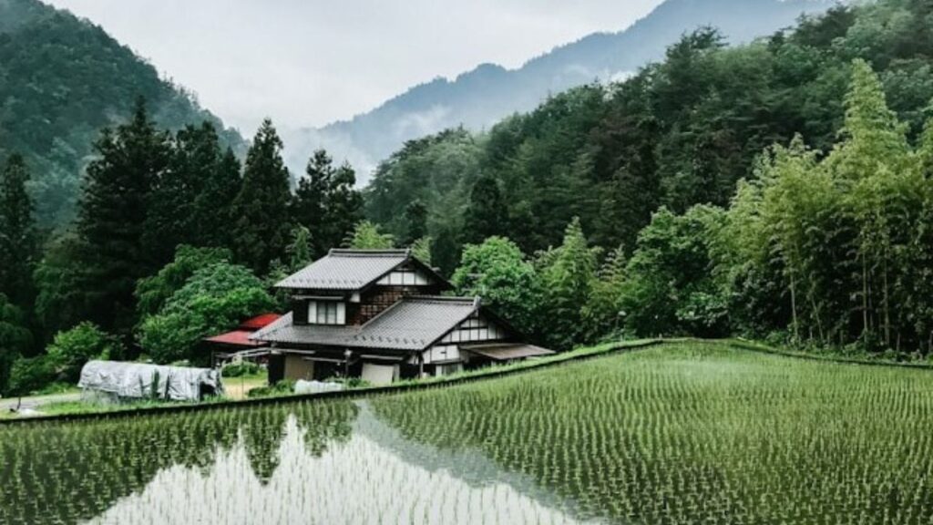 東京の自然豊かな田舎を連想させるイメージ